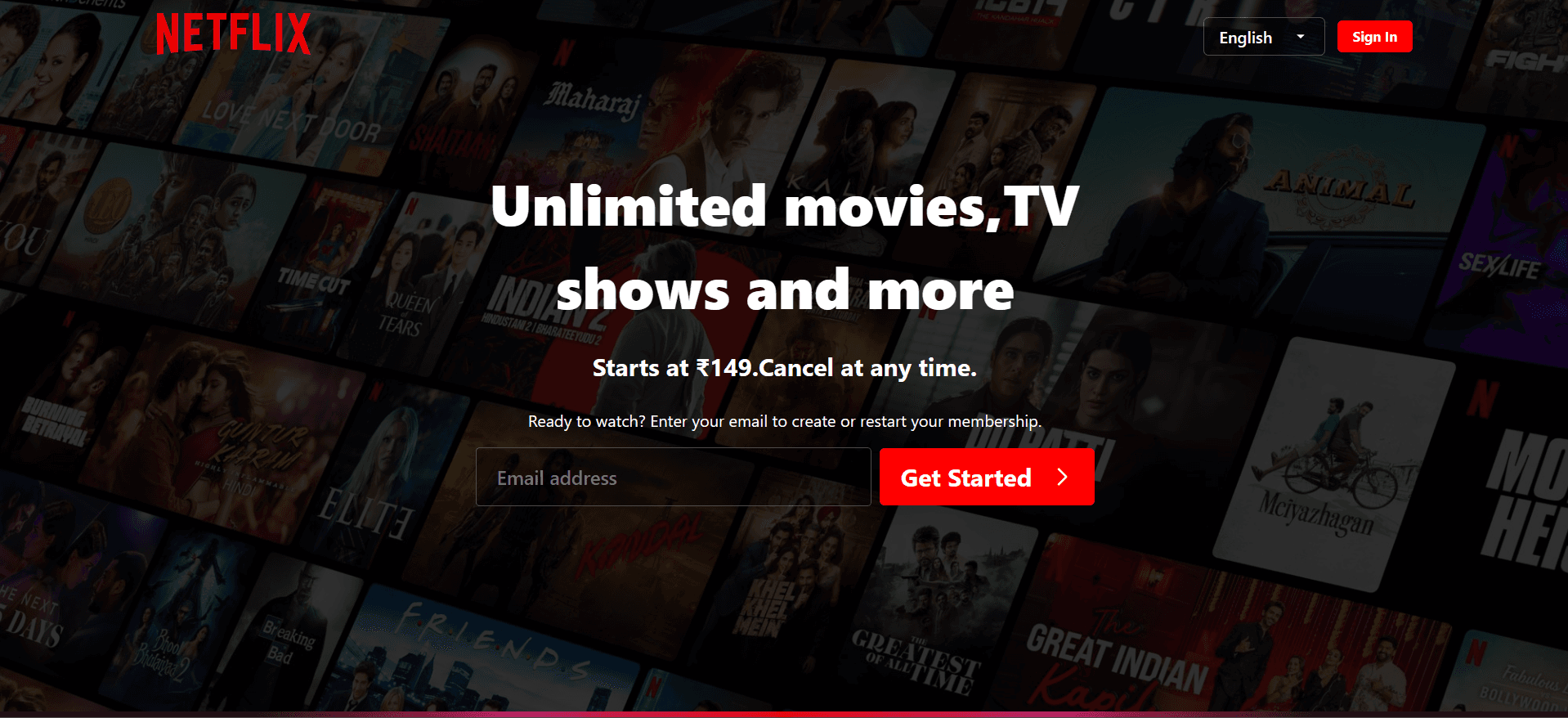 Netflix Screenshot 1